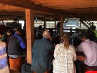 DC-MK Training 190820-03